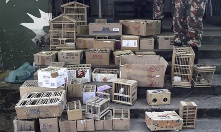 Fonte: Cidade Verde / Reprodução